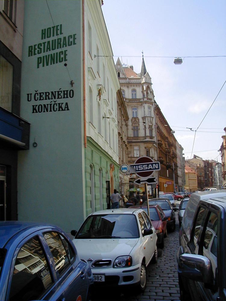 malba na omitku cerny konicek 01.jpg